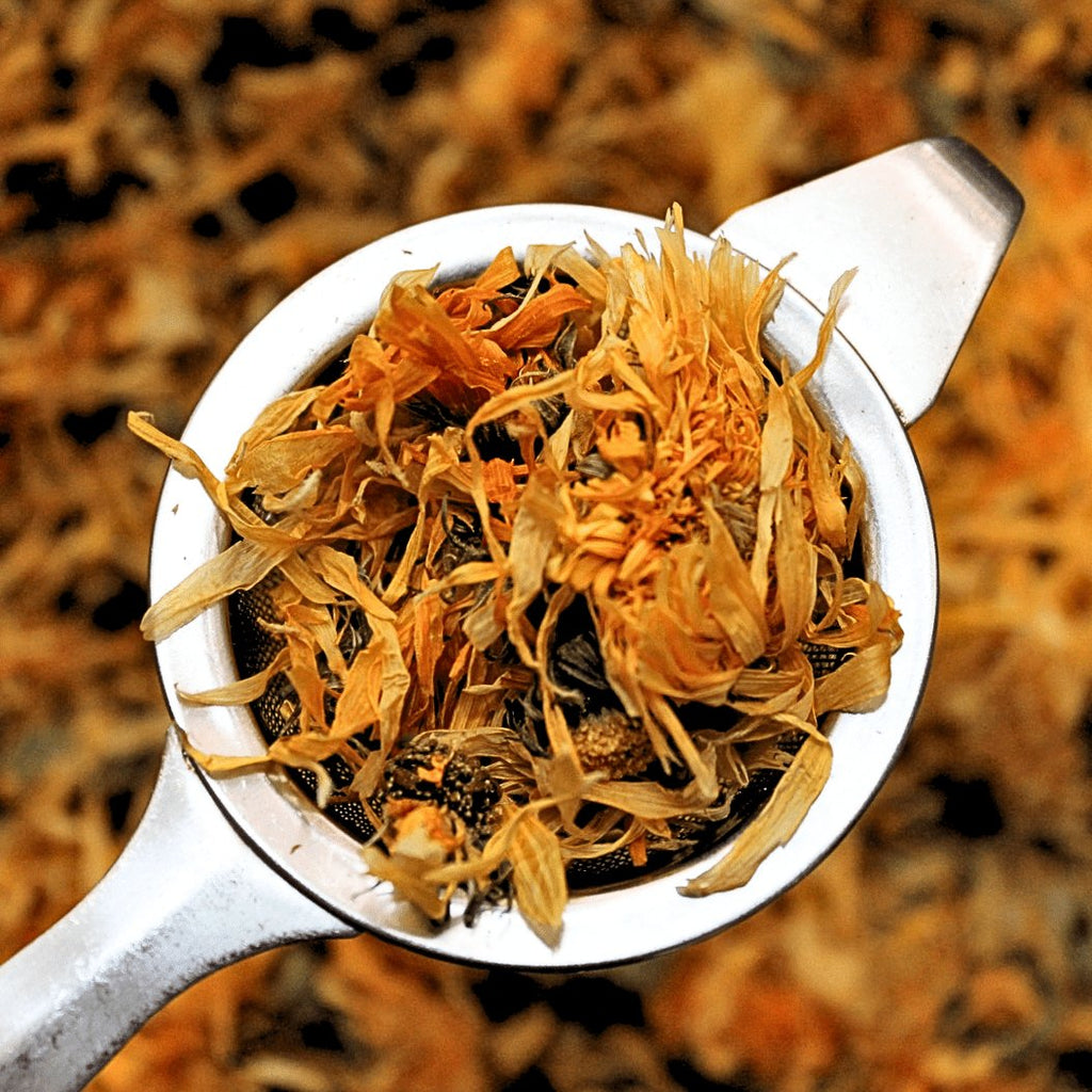 Calendula Flowers (Marigold) - Organic Herb - Planting Organics