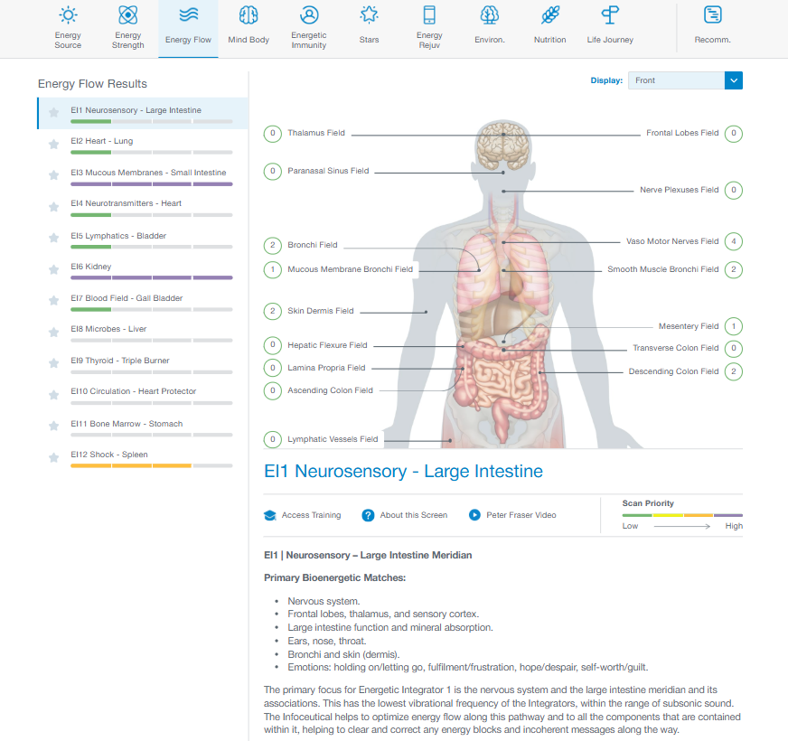An example Energy4Life bioenergetic results screen