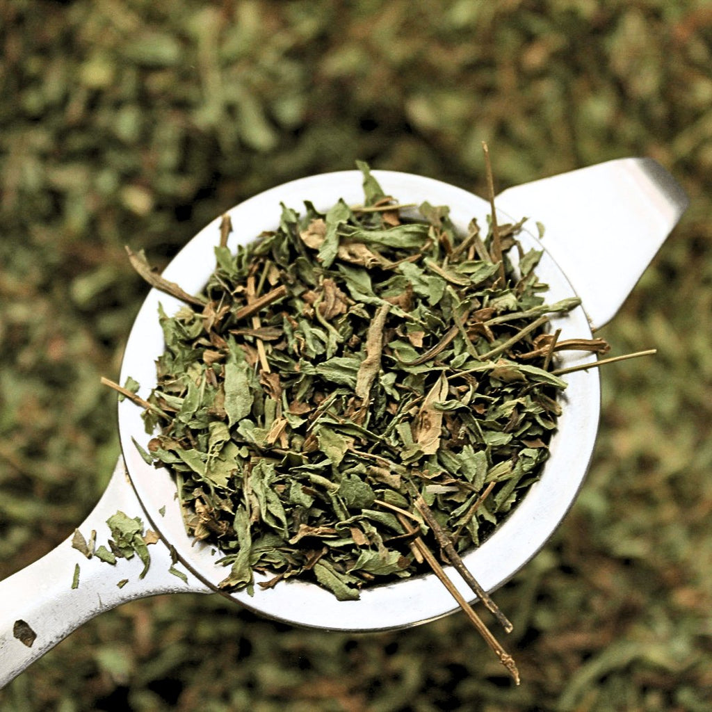 Stevia Leaf - Organic Herb - Planting Organics