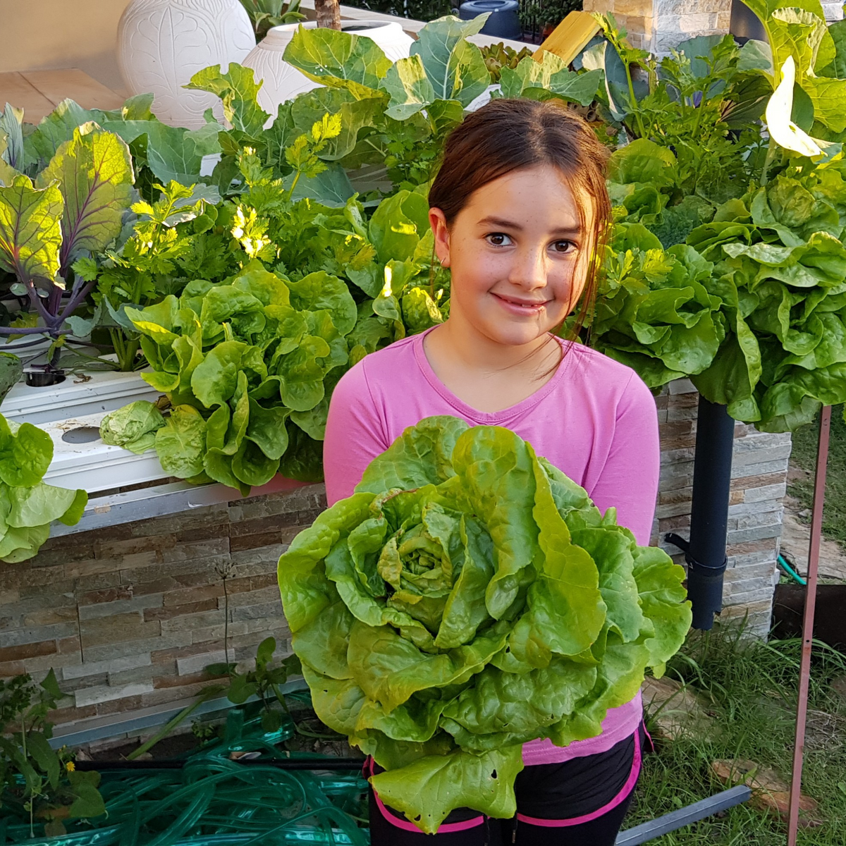 The Planting Organics home garden and growing journey