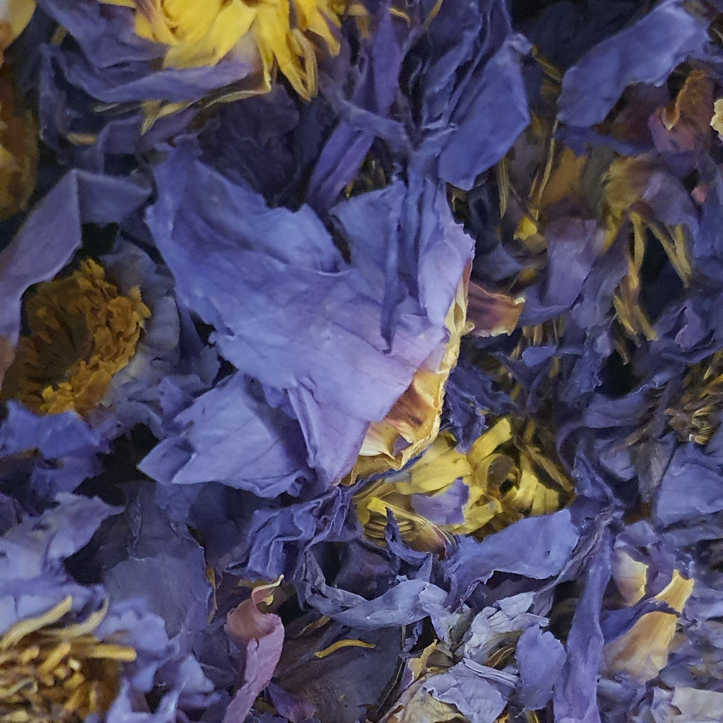 Planting Organics Blue Lotus Flower – Traditional Dried Botanical