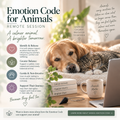Promotional graphic for 'Emotion Code for Animals Remote Session' featuring a golden retriever and a cat resting together on a bed, with text explaining remote animal therapy sessions and supporting wellness topics. Includes a mug labeled 'Calmer Hearts', 'Happier Hearts', and 'Brighter Days', and a laptop.