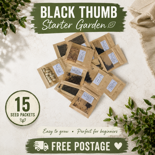 Seed packets stacked on top of each other