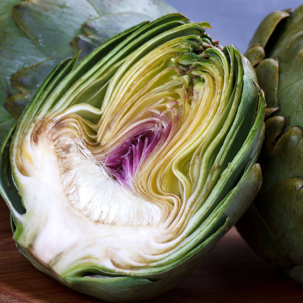 Artichoke Heirloom Seeds - Open-Pollinated, no GMO Seeds - Planting Organics