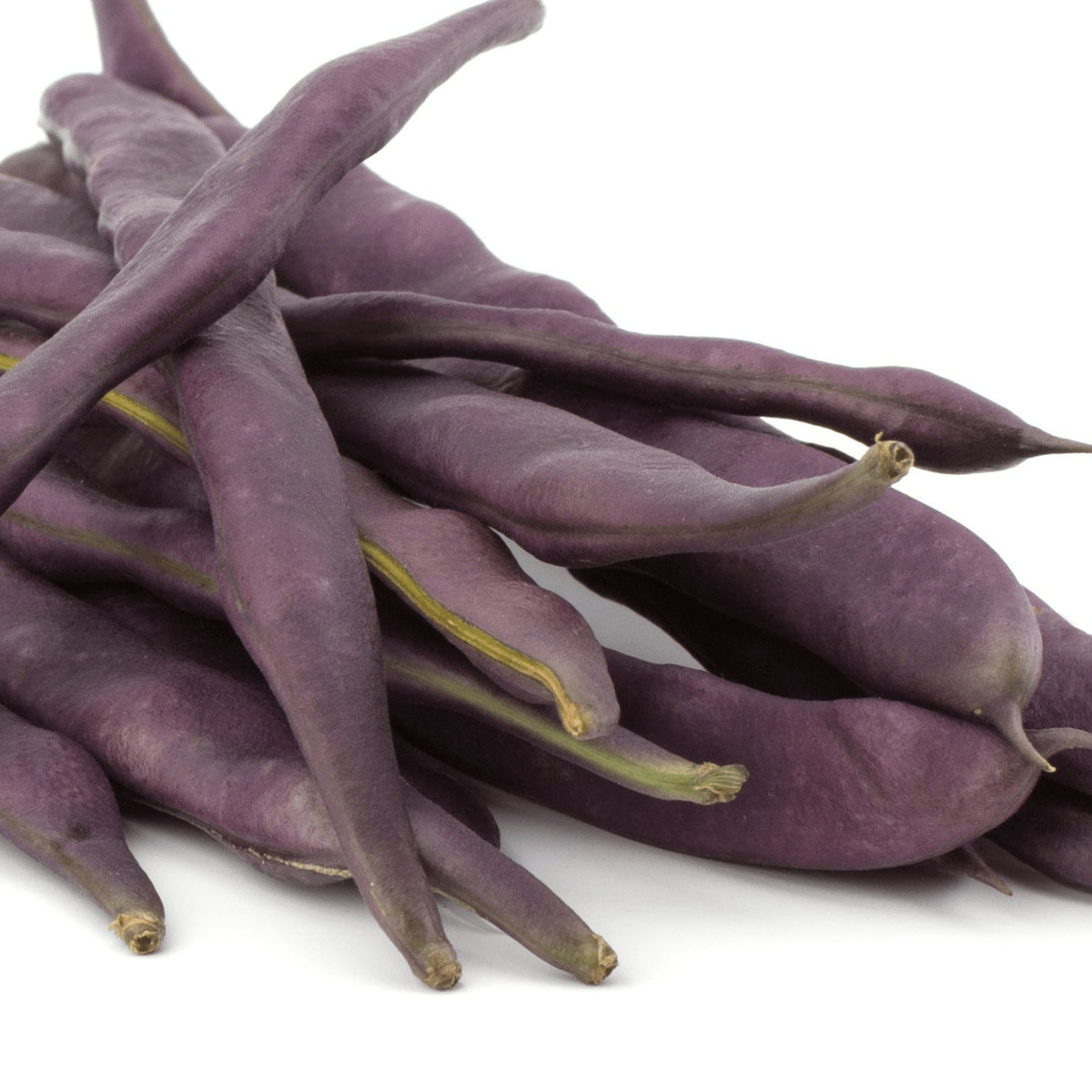 Beans Royal Burgundy - Heirloom Seeds - Planting Organics