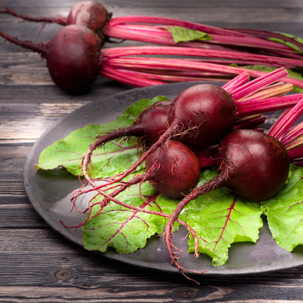 Beetroot Bulls Blood Heirloom Seeds - Planting Organics