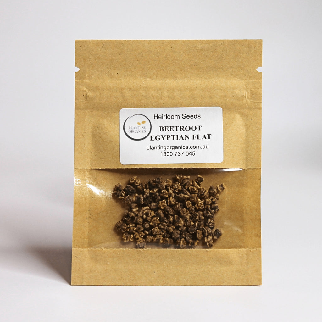 Beetroot Crosby's Egyptian Flat Heirloom Seeds - Planting Organics