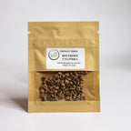 Beetroot Cylindra Heirloom Seeds - Planting Organics