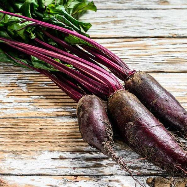 Beetroot Cylindra Heirloom Seeds - Planting Organics
