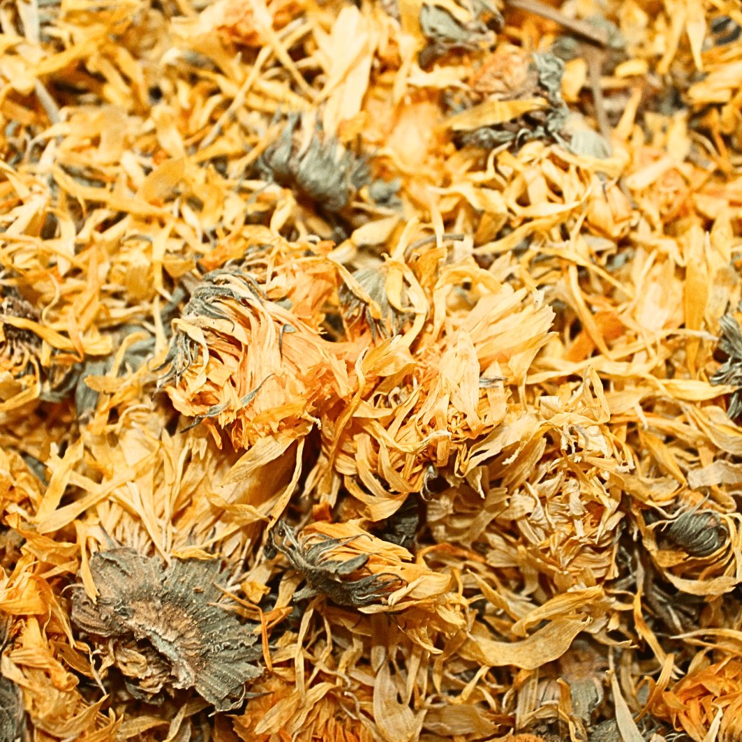 Calendula Flowers (Marigold) - Organic Herb - Planting Organics