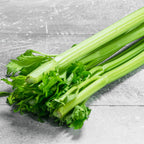 Celery Tall Utah Heirloom Seeds - Planting Organics