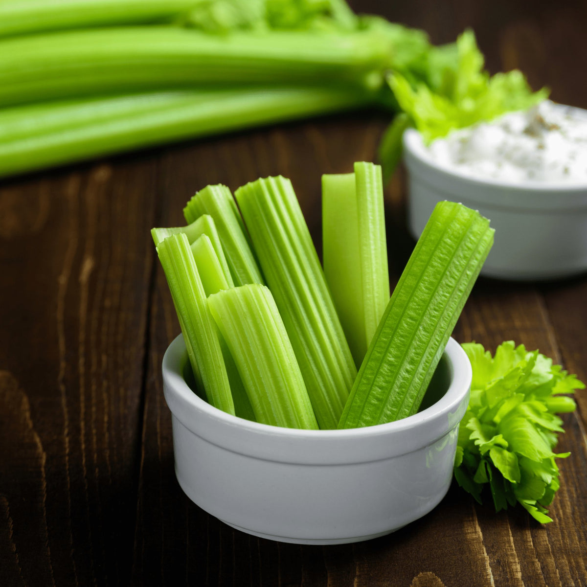 Celery Tall Utah Heirloom Seeds - Planting Organics