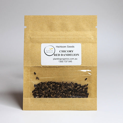 Chicory Italiko Rosso (Red Dandelion) Heirloom Seeds - Planting Organics
