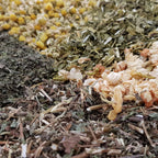 Chillax Tea - Organic Loose Tea - Planting Organics