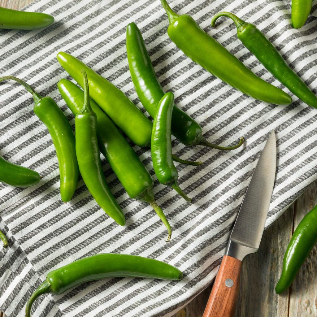 Chilli Serrano Heirloom Seeds - Planting Organics