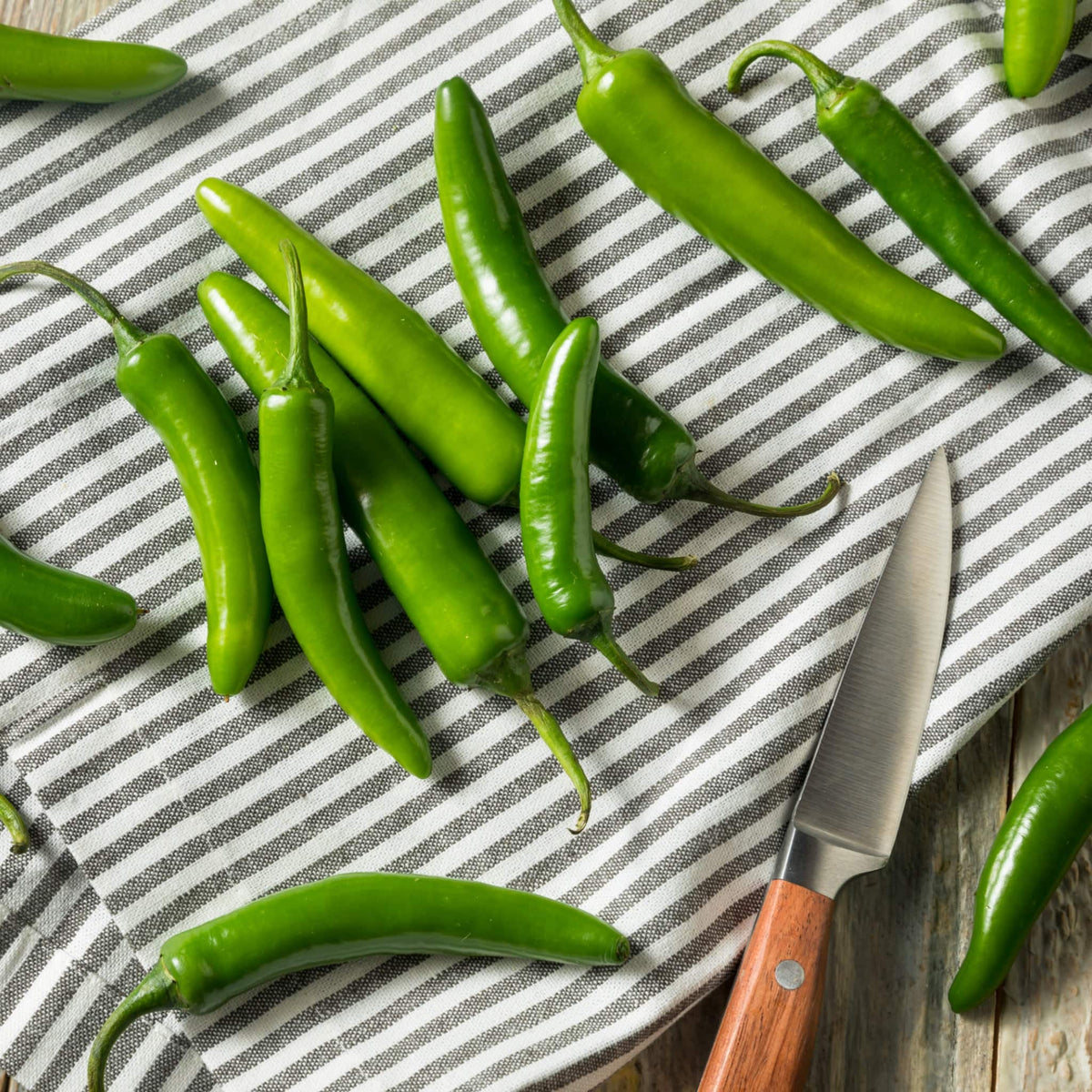 Chilli Serrano Heirloom Seeds - Planting Organics