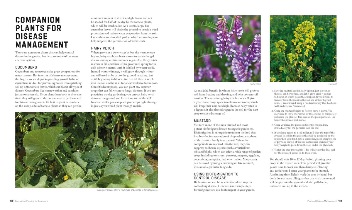 Companion plants for natural garden disease management