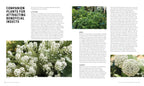Flowers and herbs that attract beneficial insects
