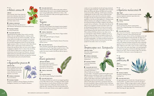 The Complete Language of Herbs illustrated interior sample