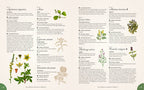 The Complete Language of Herbs illustrated herb encyclopedia pages