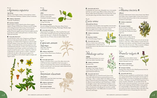 The Complete Language of Herbs illustrated herb encyclopedia pages