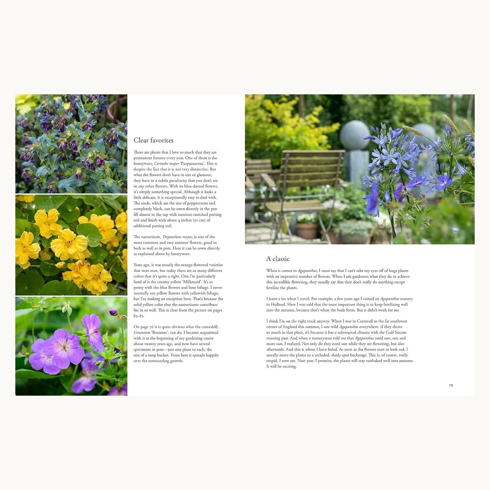 Containers in the Garden pages featuring favourite flowers for pots