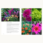 Containers in the Garden colourful flower planting and design inspiration