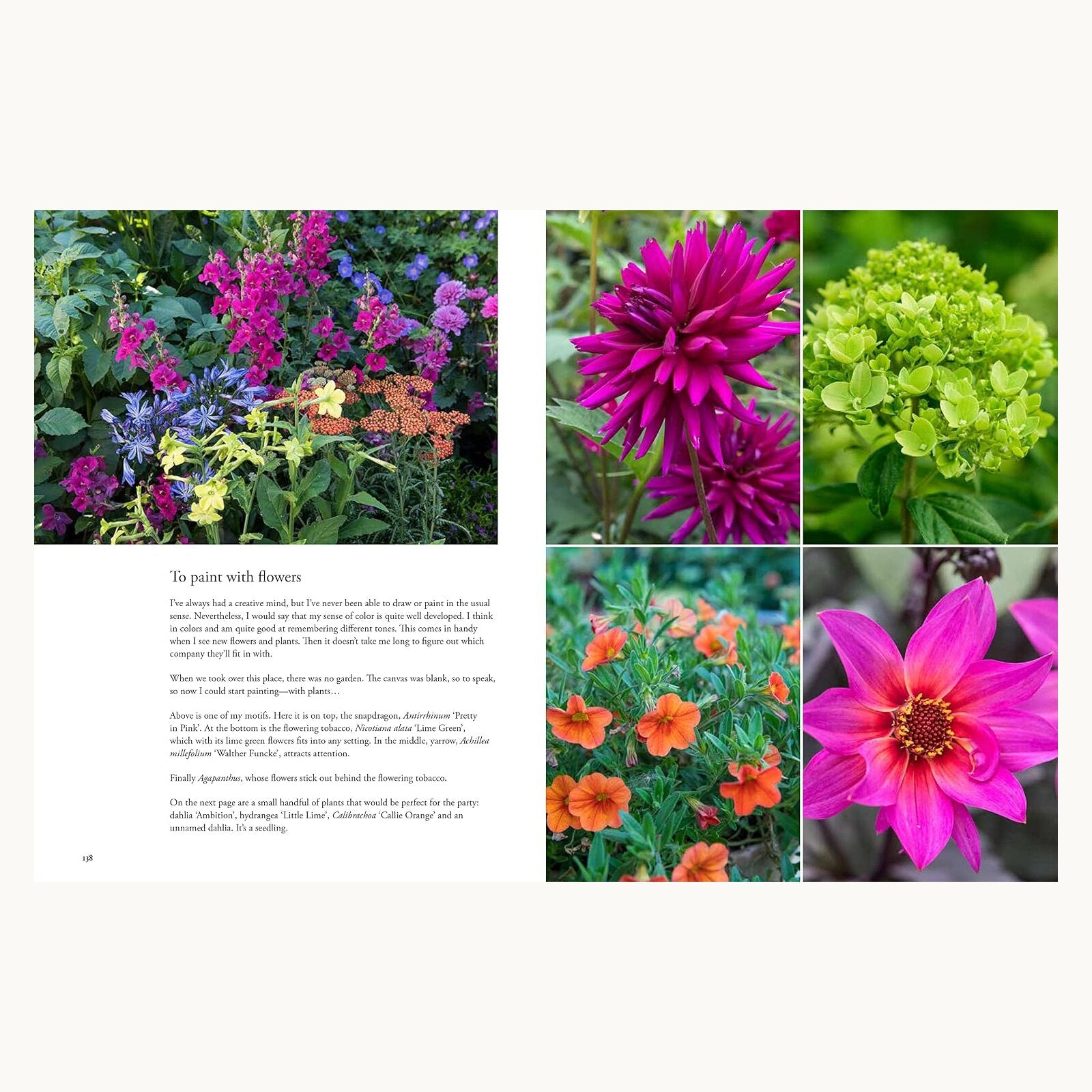 Containers in the Garden colourful flower planting and design inspiration