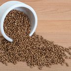 Coriander Slow Bolt Heirloom Organic Seeds - Planting Organics