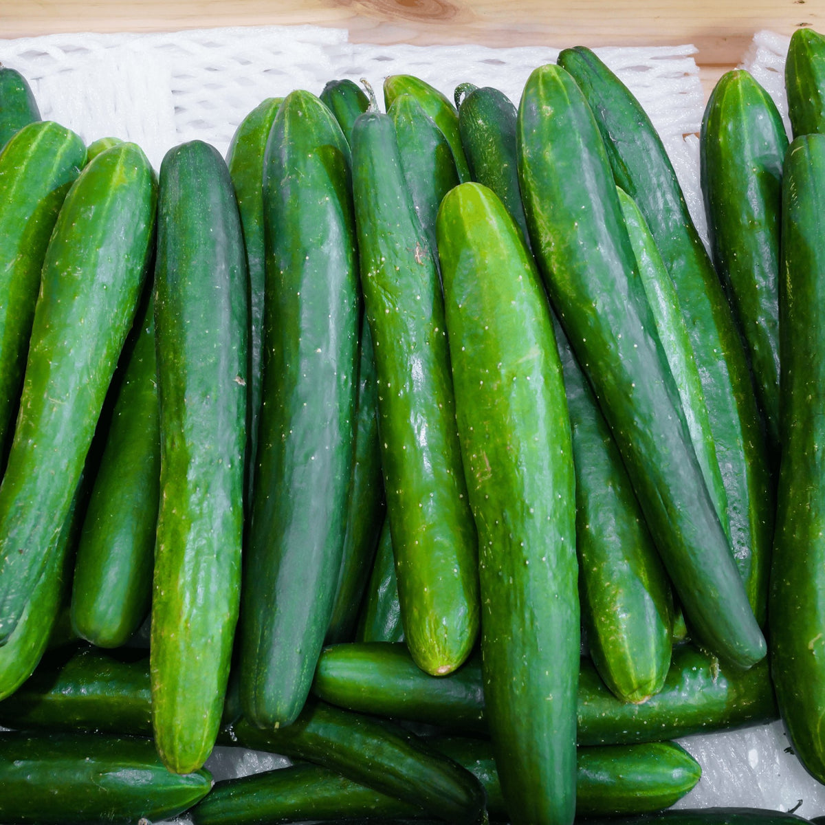 Cucumber Burpless Heirloom Seeds 1g - Planting Organics