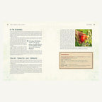 The Edible Balcony pages about growing tomatoes in a small space