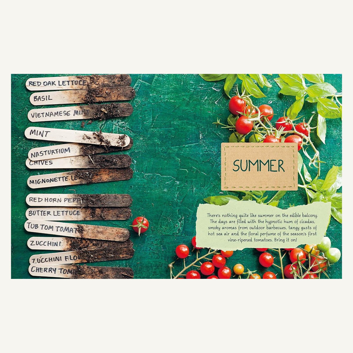 The Edible Balcony summer garden spread with tomatoes, basil and vegetables