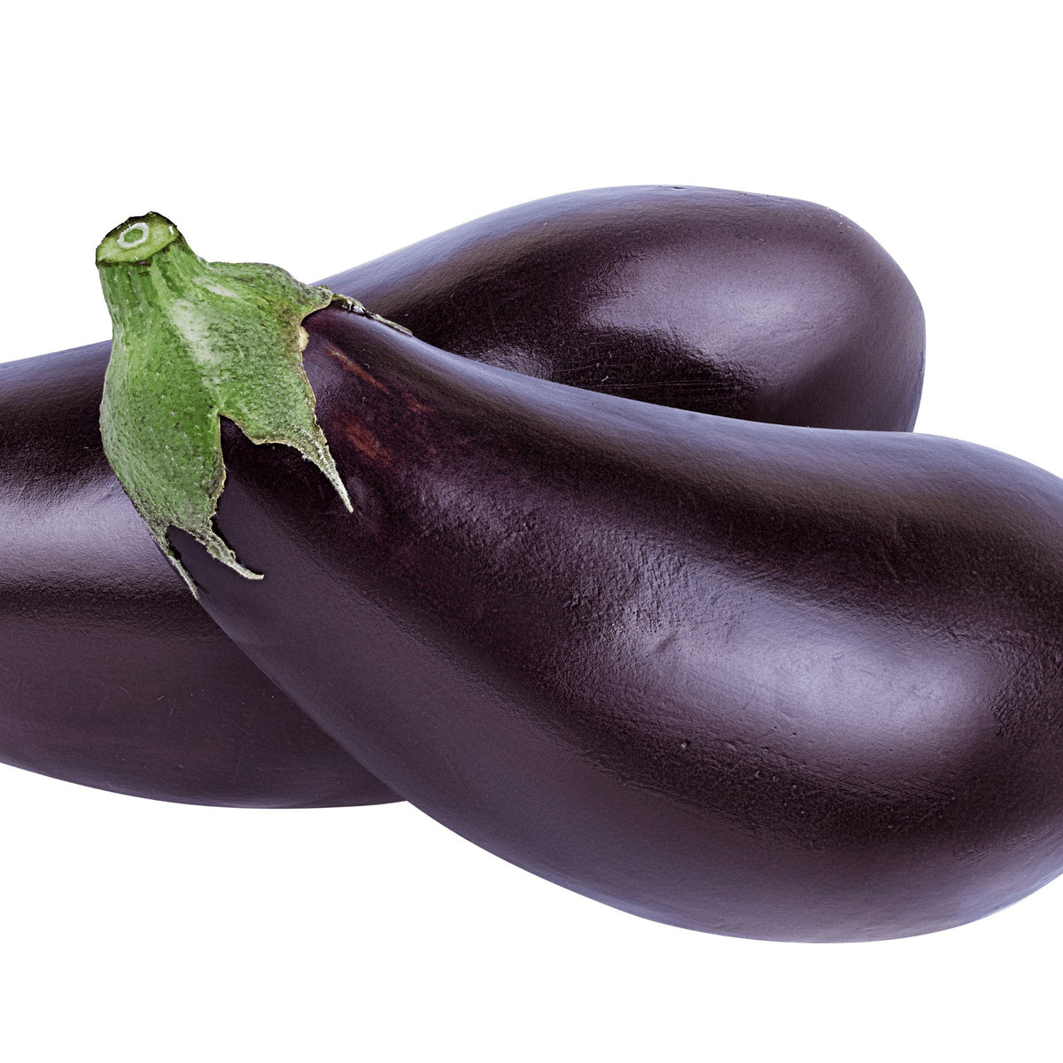 Eggplant Black Beauty Heirloom Seeds - Planting Organics