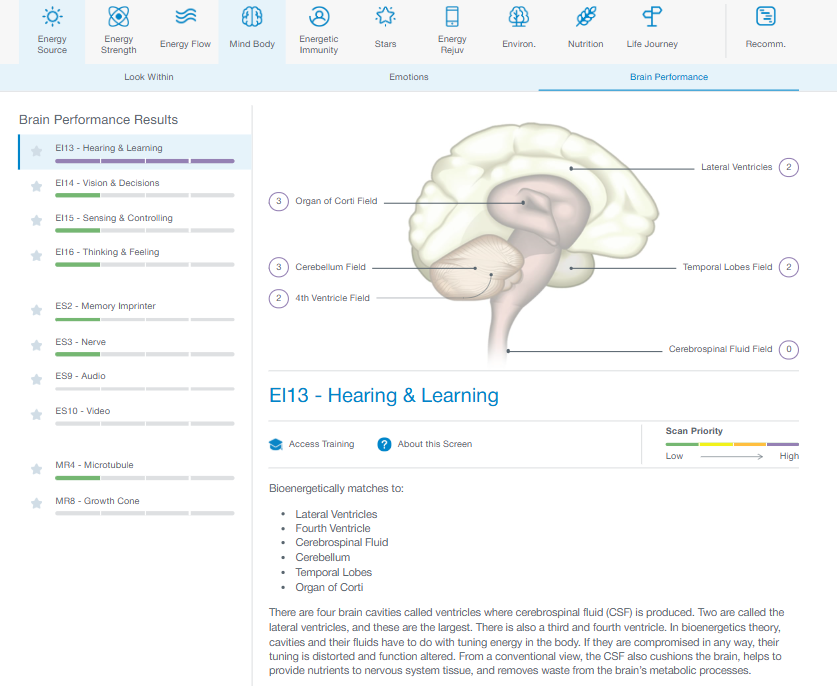 Example Energy4Life Brain Performance screen