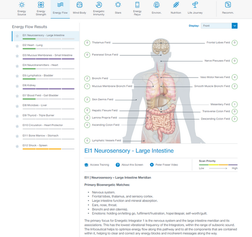 Example Energy4Life Energy Flow priority screen