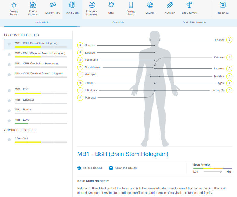 Example Energy4Life Mind Body priority screen