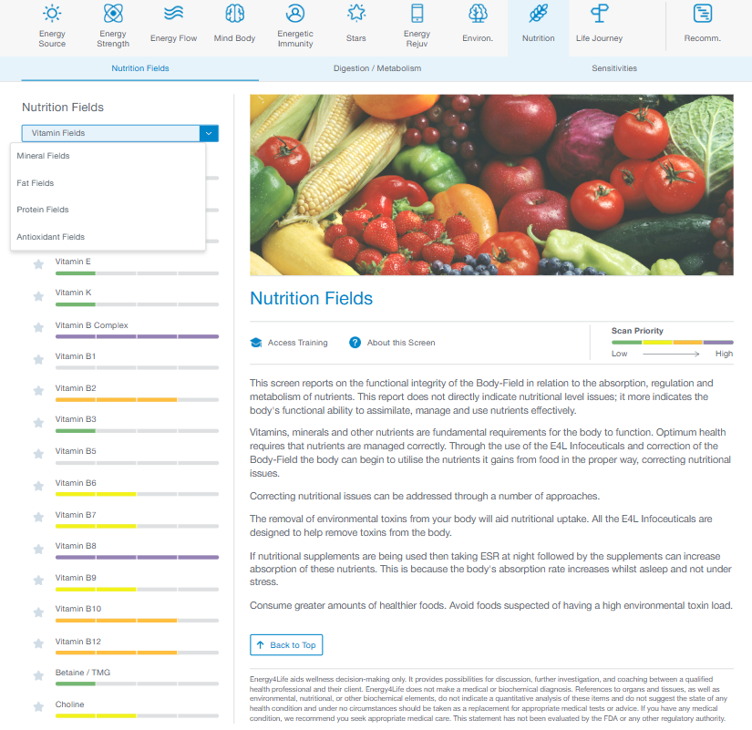 Example Energy4Life nutrition-related energetic priority screen