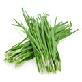 Garlic Chives Herb Heirloom Seeds - Planting Organics
