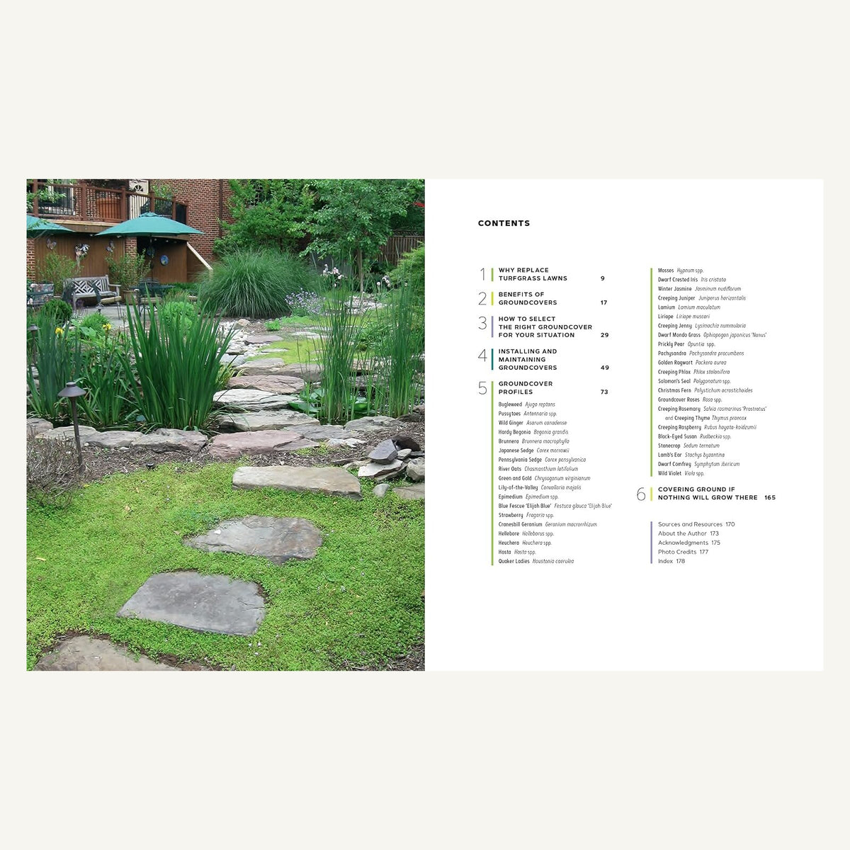 Groundcover Revolution contents and groundcover garden photograph
