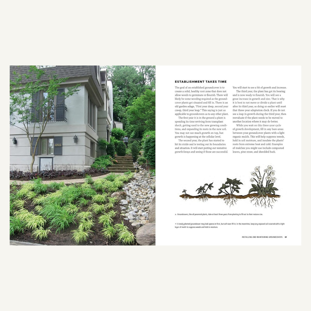 Groundcover Revolution pages about establishing and maintaining groundcovers