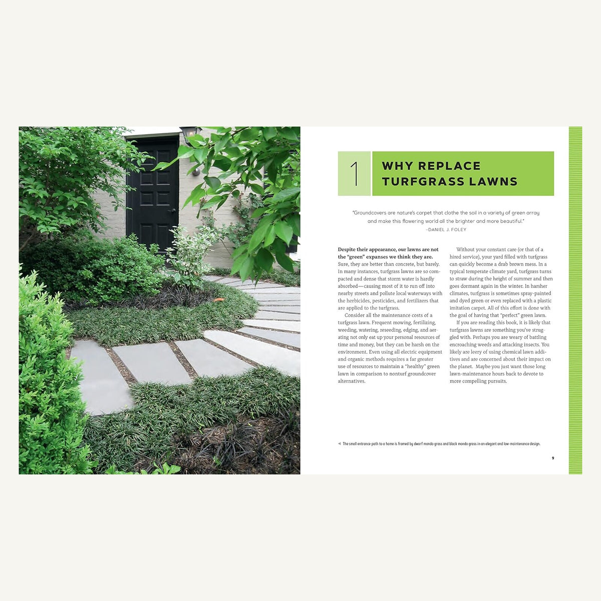 Groundcover Revolution pages about replacing turfgrass lawns