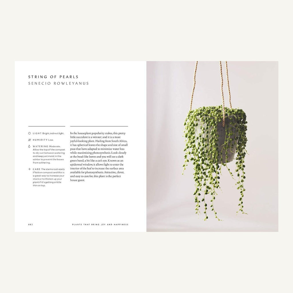String of Pearls care guide inside The Healing Power of Plants