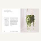 String of Pearls care guide inside The Healing Power of Plants