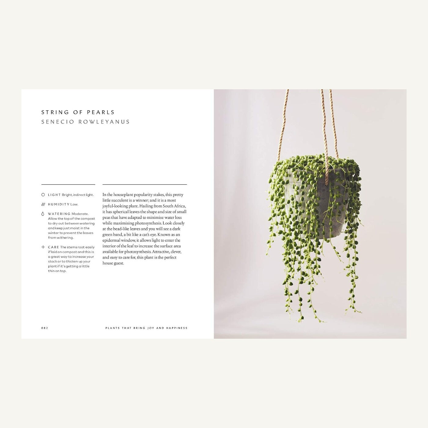 String of Pearls care guide inside The Healing Power of Plants