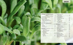 Home Hydroponics DIY indoor growing system interior pages