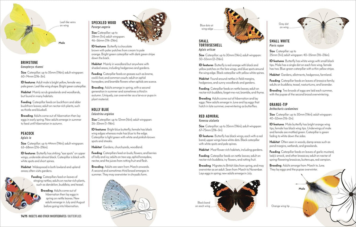 How to Attract Wildlife to Your Garden - Planting Organics