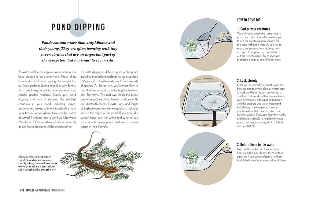 How to Attract Wildlife to Your Garden - Planting Organics