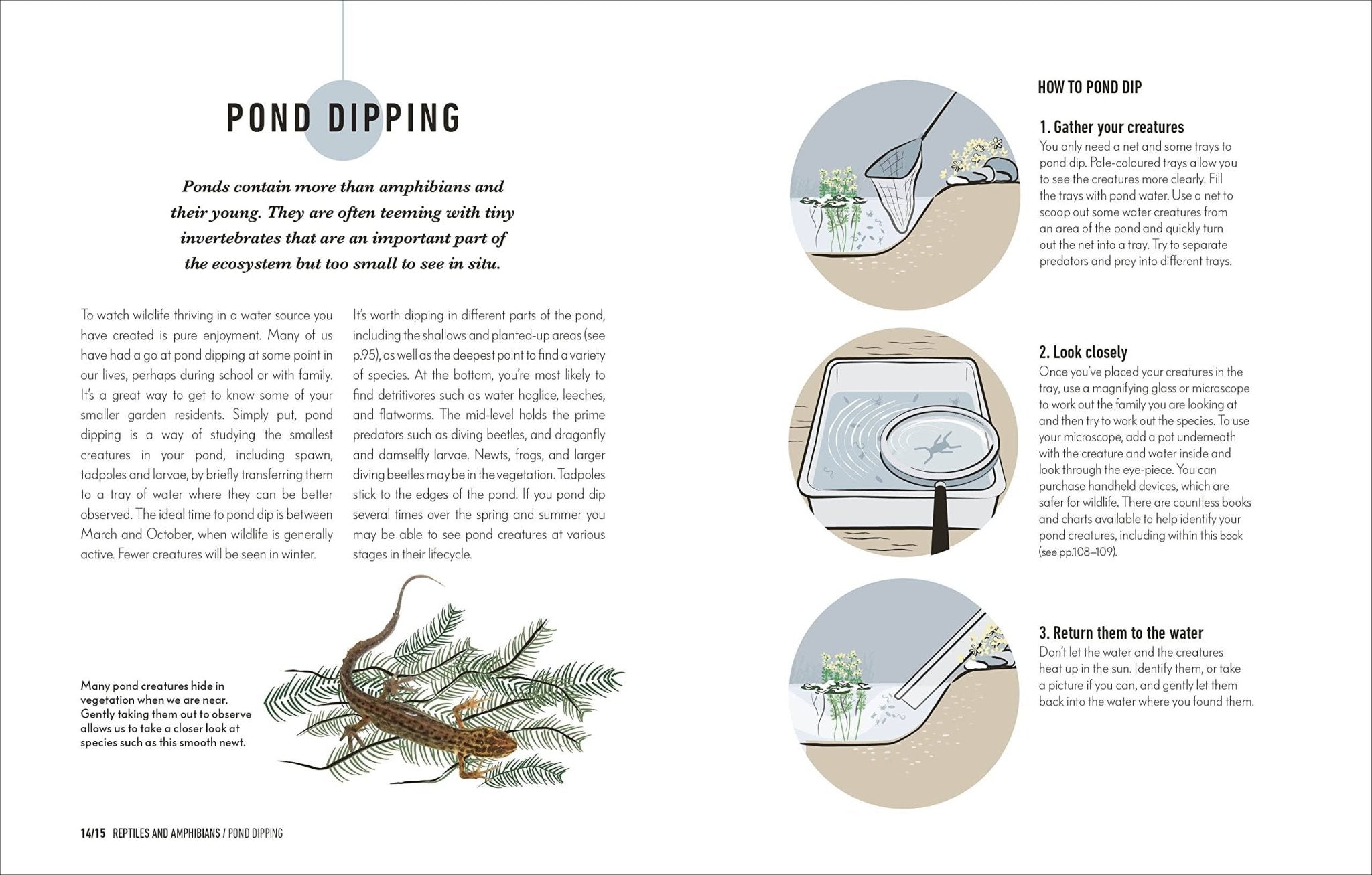How to Attract Wildlife to Your Garden - Planting Organics