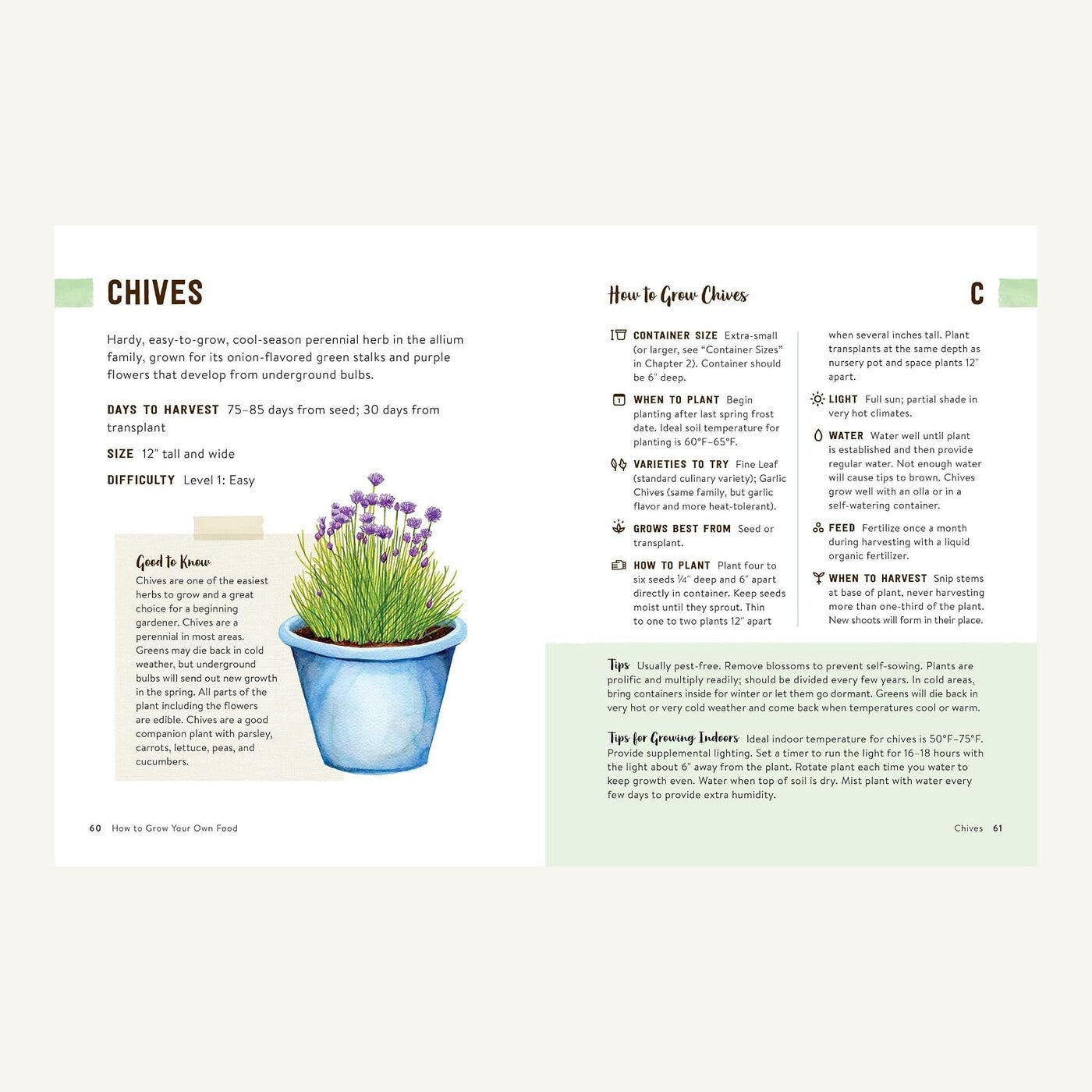Chive container-growing guide inside How to Grow Your Own Food