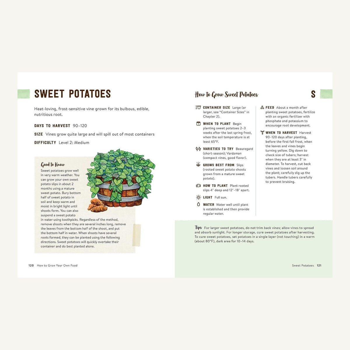 Sweet potato container-growing guide inside How to Grow Your Own Food